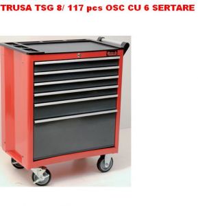 Trusa  industriala TSG 8B(117 scule) 